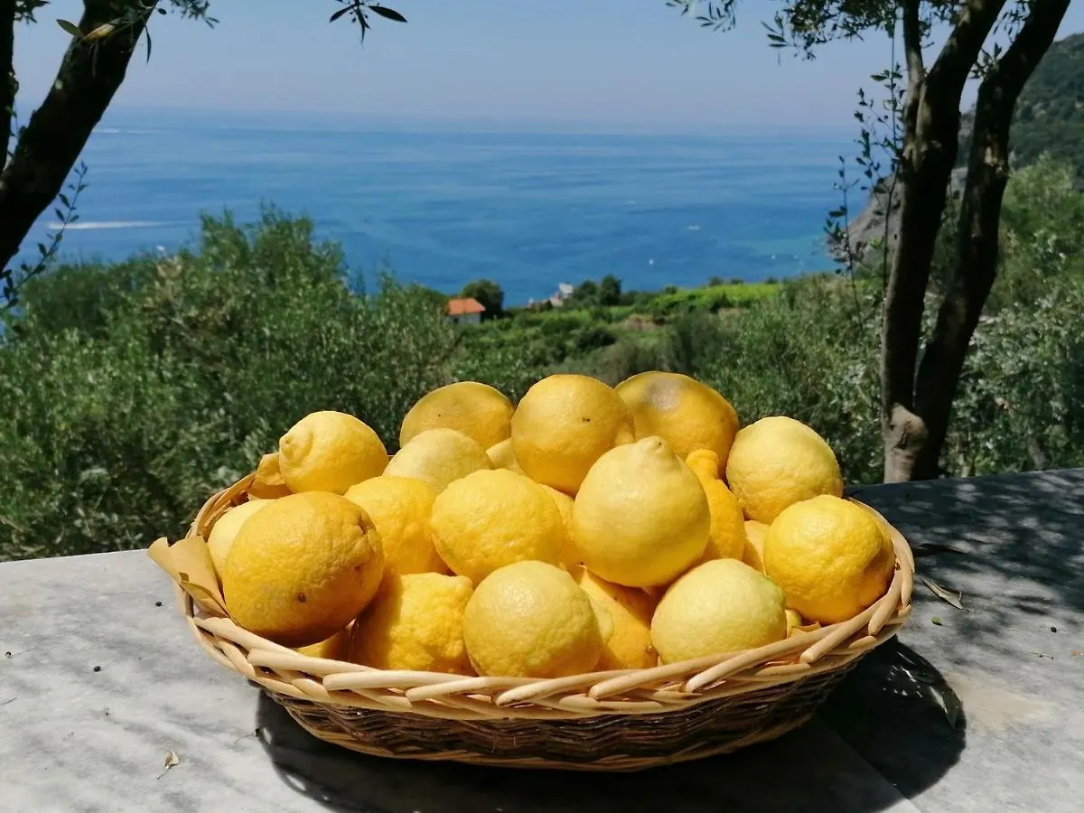 Perla Del Levante Hostel Framura Italy