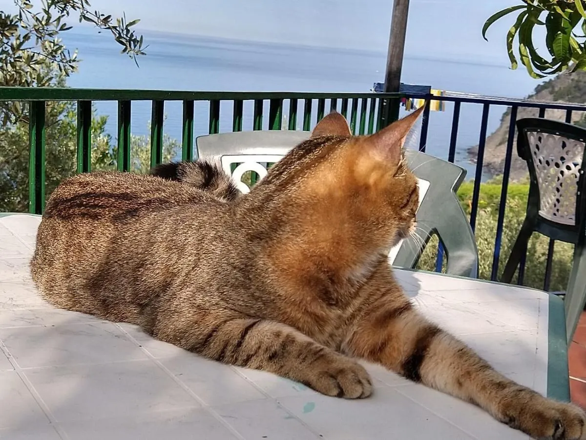 Perla Del Levante Hostel Framura Italy